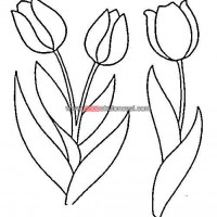 artık materyal,atatürk ,kağit işleri,aşure haftası,mevsımler,yüz ifadesi (1388)