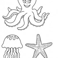 artık materyal,atatürk ,kağit işleri,aşure haftası,mevsımler,yüz ifadesi (1429)