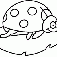 artık materyal,atatürk ,kağit işleri,aşure haftası,mevsımler,yüz ifadesi (15)