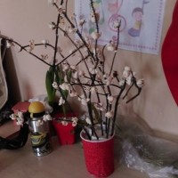 artık materyal,atatürk ,kağit işleri,aşure haftası,mevsımler,yüz ifadesi (1715)