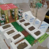 artık materyal,atatürk ,kağit işleri,aşure haftası,mevsımler,yüz ifadesi (1961)