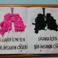 artık materyal,atatürk ,kağit işleri,aşure haftası,mevsımler,yüz ifadesi (2255)