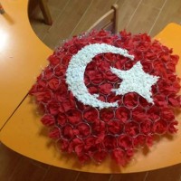 artık materyal,atatürk ,kağit işleri,aşure haftası,mevsımler,yüz ifadesi (2349)