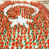 artık materyal,atatürk ,kağit işleri,aşure haftası,mevsımler,yüz ifadesi (2458)