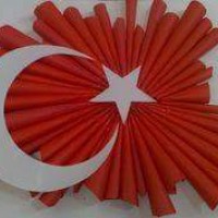 artık materyal,atatürk ,kağit işleri,aşure haftası,mevsımler,yüz ifadesi (2486)