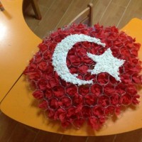 artık materyal,atatürk ,kağit işleri,aşure haftası,mevsımler,yüz ifadesi (2494)