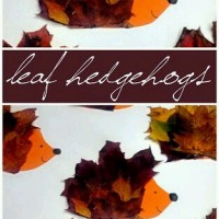 artık materyal,atatürk ,kağit işleri,aşure haftası,mevsımler,yüz ifadesi (2502)