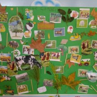 artık materyal,atatürk ,kağit işleri,aşure haftası,mevsımler,yüz ifadesi (281)