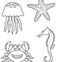 artık materyal,atatürk ,kağit işleri,aşure haftası,mevsımler,yüz ifadesi (30)