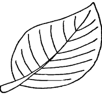 artık materyal,atatürk ,kağit işleri,aşure haftası,mevsımler,yüz ifadesi (44)