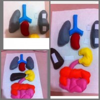 artık materyal,atatürk ,kağit işleri,aşure haftası,mevsımler,yüz ifadesi (78)