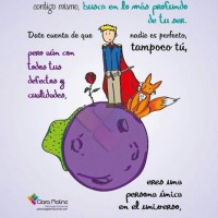 artık materyal,atatürk ,kağit işleri,aşure haftası,mevsımler,yüz ifadesi (881)