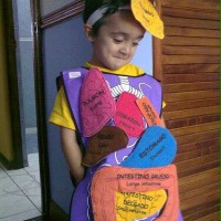 artık materyal,atatürk ,kağit işleri,aşure haftası,mevsımler,yüz ifadesi (913)