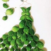 kağıt işleri (145)