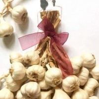 kağıt işleri (159)