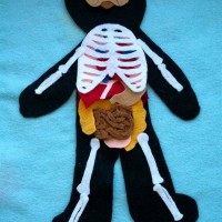 kağıt işleri (201)