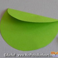 kağıt işleri (238)