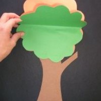 kağıt işleri (40)