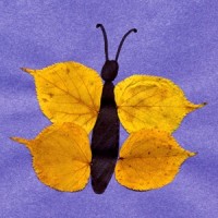 kağıt işleri (48)