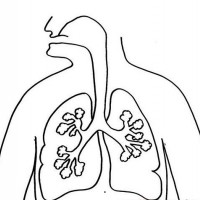 kagit işleri ,artık materyal ,sınıf süsü(561)