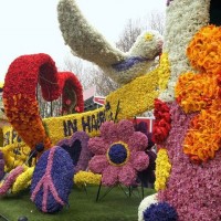 Kağıt katlama buruşturma, yuvarlama, sulu boya  (1028)