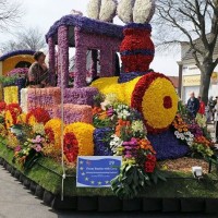 Kağıt katlama buruşturma, yuvarlama, sulu boya  (1051)