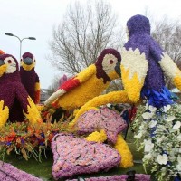 Kağıt katlama buruşturma, yuvarlama, sulu boya  (1052)