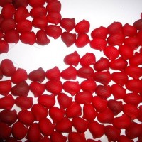 Kağıt katlama buruşturma, yuvarlama, sulu boya  (1117)