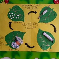 Kağıt katlama buruşturma, yuvarlama, sulu boya  (1171)