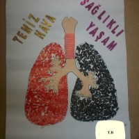 Kağıt katlama buruşturma, yuvarlama, sulu boya  (217)