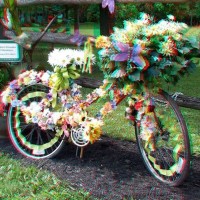 Kağıt katlama buruşturma, yuvarlama, sulu boya  (296)