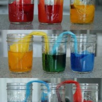 Kağıt katlama buruşturma, yuvarlama, sulu boya  (670)