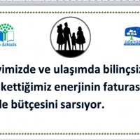 kiş mevsımı ,yerli malı haftası,yeni yıl ,örüntüler mısır ,tasaruf haftası (183)