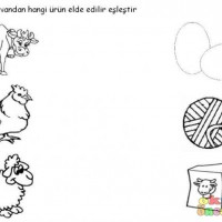 kiş mevsımı ,yerli malı haftası,yeni yıl ,örüntüler mısır ,tasaruf haftası (190).JPG