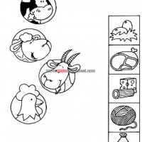 kiş mevsımı ,yerli malı haftası,yeni yıl ,örüntüler mısır ,tasaruf haftası (201)