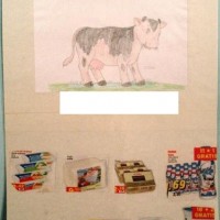 kiş mevsımı ,yerli malı haftası,yeni yıl ,örüntüler mısır ,tasaruf haftası (207)