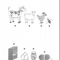 kiş mevsımı ,yerli malı haftası,yeni yıl ,örüntüler mısır ,tasaruf haftası (225)