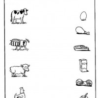 kiş mevsımı ,yerli malı haftası,yeni yıl ,örüntüler mısır ,tasaruf haftası (227)