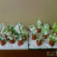 kiş mevsımı ,yerli malı haftası,yeni yıl ,örüntüler mısır ,tasaruf haftası (228)