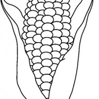 kiş mevsımı ,yerli malı haftası,yeni yıl ,örüntüler mısır ,tasaruf haftası (230)