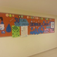 kiş mevsımı ,yerli malı haftası,yeni yıl ,örüntüler mısır ,tasaruf haftası (232)