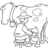 kiş mevsımı ,yerli malı haftası,yeni yıl ,örüntüler mısır ,tasaruf haftası (245)