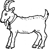 kiş mevsımı ,yerli malı haftası,yeni yıl ,örüntüler mısır ,tasaruf haftası (248)