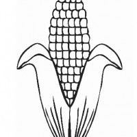 kiş mevsımı ,yerli malı haftası,yeni yıl ,örüntüler mısır ,tasaruf haftası (260)