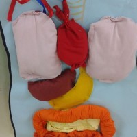 kutlu doğüm ,kurban bayramı ,artık materyal ,kağit işleri ,sınıf süsü ,anneler günü ,babalar günü ,gelişim raporu  (1688)