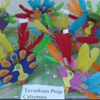 kutlu doğüm ,kurban bayramı ,artık materyal ,kağit işleri ,sınıf süsü ,anneler günü ,babalar günü ,gelişim raporu  (1696)