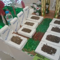 kutlu doğüm ,kurban bayramı ,artık materyal ,kağit işleri ,sınıf süsü ,anneler günü ,babalar günü ,gelişim raporu  (1861)