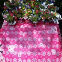 kutlu doğüm ,kurban bayramı ,artık materyal ,kağit işleri ,sınıf süsü ,anneler günü ,babalar günü ,gelişim raporu  (2088)