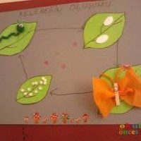 kutlu doğüm ,kurban bayramı ,artık materyal ,kağit işleri ,sınıf süsü ,anneler günü ,babalar günü ,gelişim raporu  (2275)