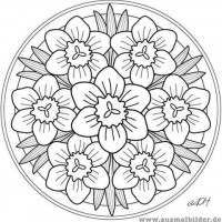 kutlu doğüm ,kurban bayramı ,artık materyal ,kağit işleri ,sınıf süsü ,anneler günü ,babalar günü ,gelişim raporu  (2889)